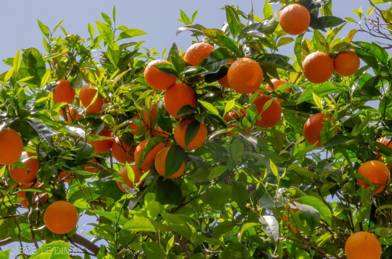 مبيت وإفطار سانتّانييلّو Le Dimax المظهر الخارجي الصورة